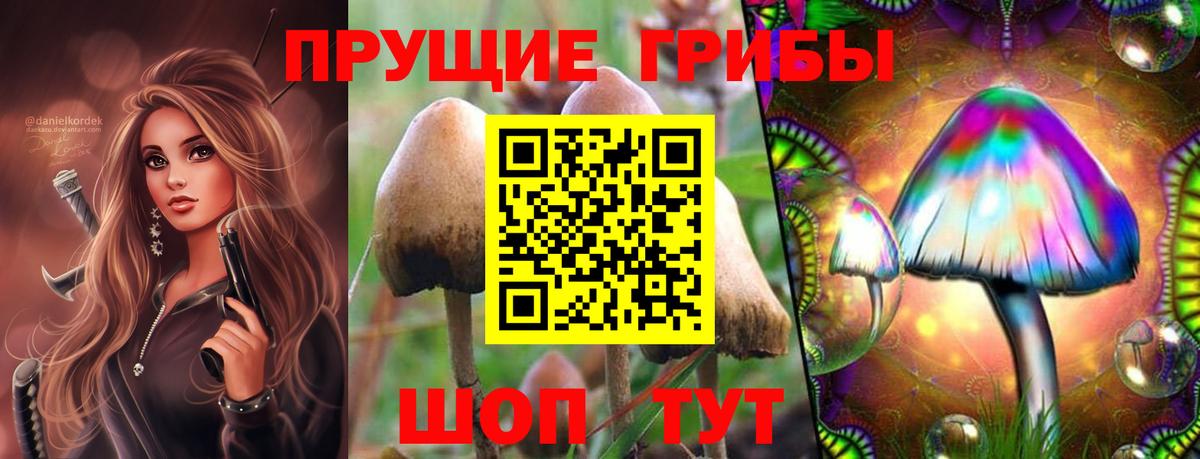 Галлюциногенные грибы GOLDEN TEACHER Печора